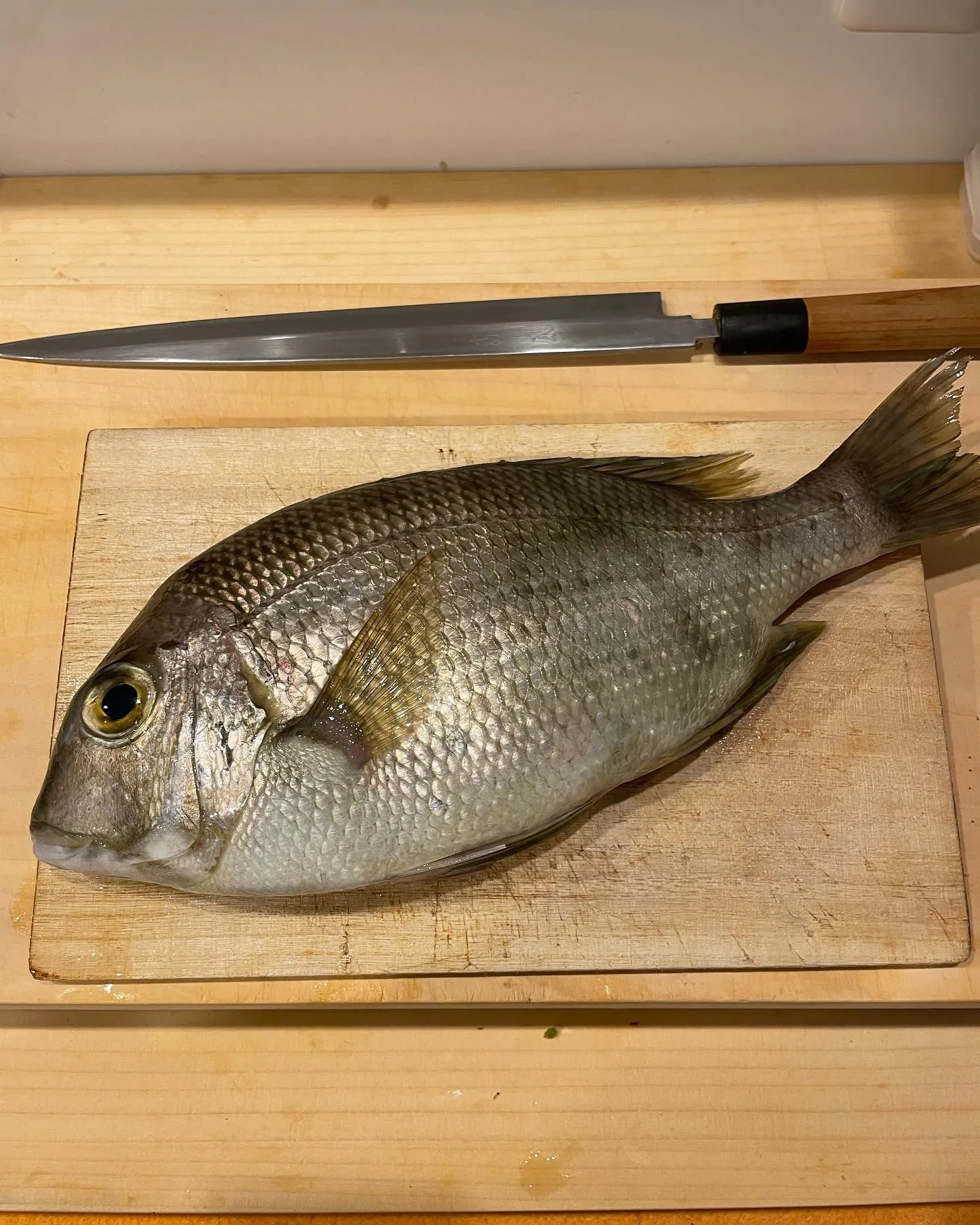 【八千代台 鮨安才】