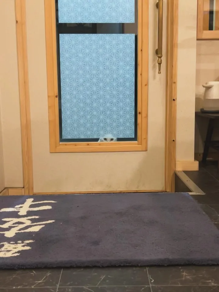 新子！入荷しました！！！